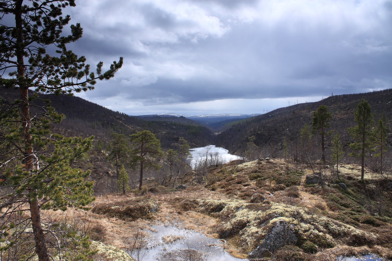 Могильный Ров, image of landscape/habitat.