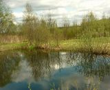 Ивановка, image of landscape/habitat.