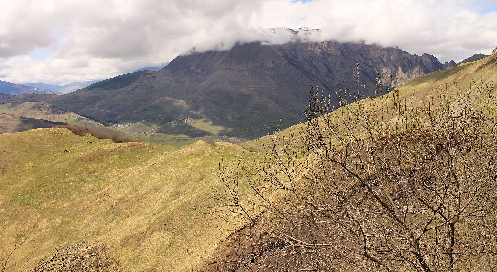 Кармадонская котловина, image of landscape/habitat.