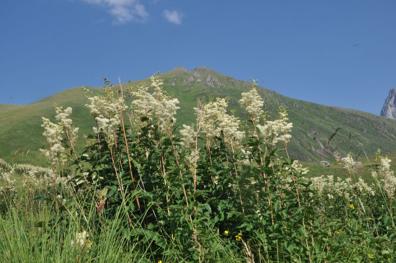 Долина ручья Чаухицхали, image of landscape/habitat.