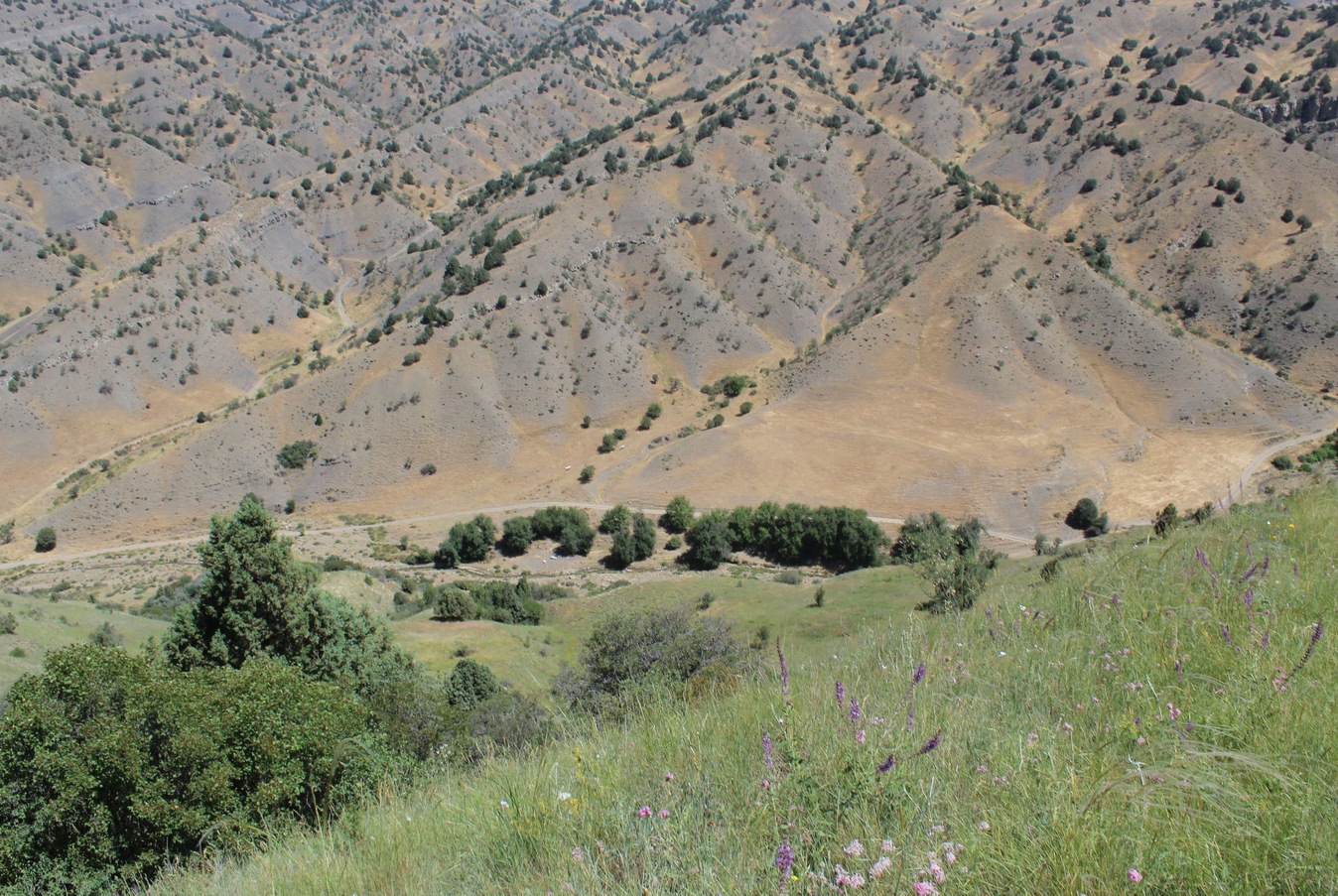 Пордере, image of landscape/habitat.