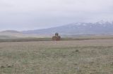 Окрестности храма Тайлар, image of landscape/habitat.