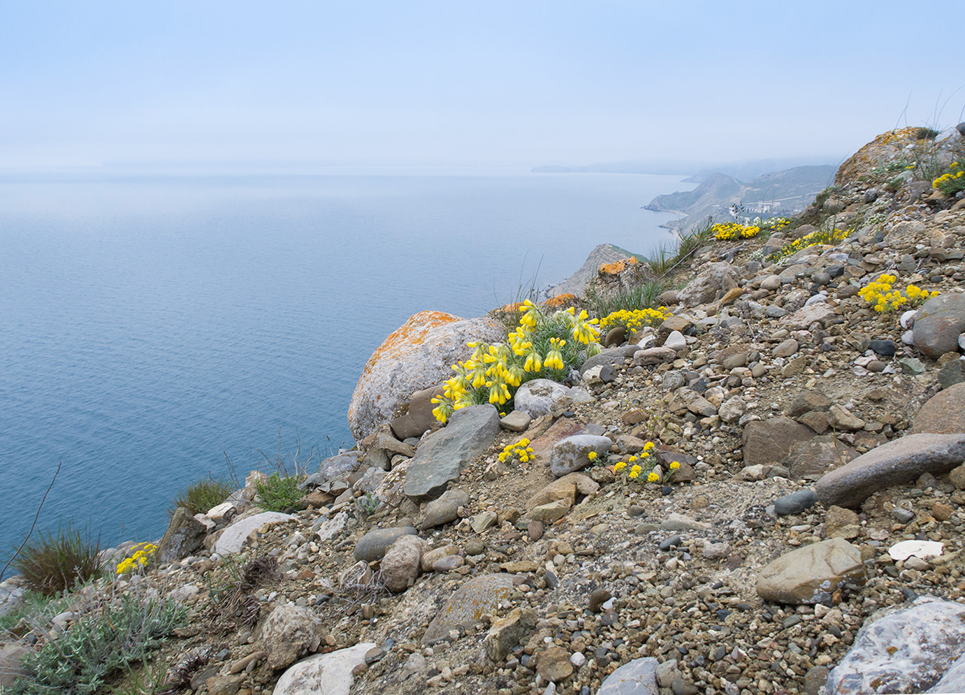 Киик-Атлама, image of landscape/habitat.