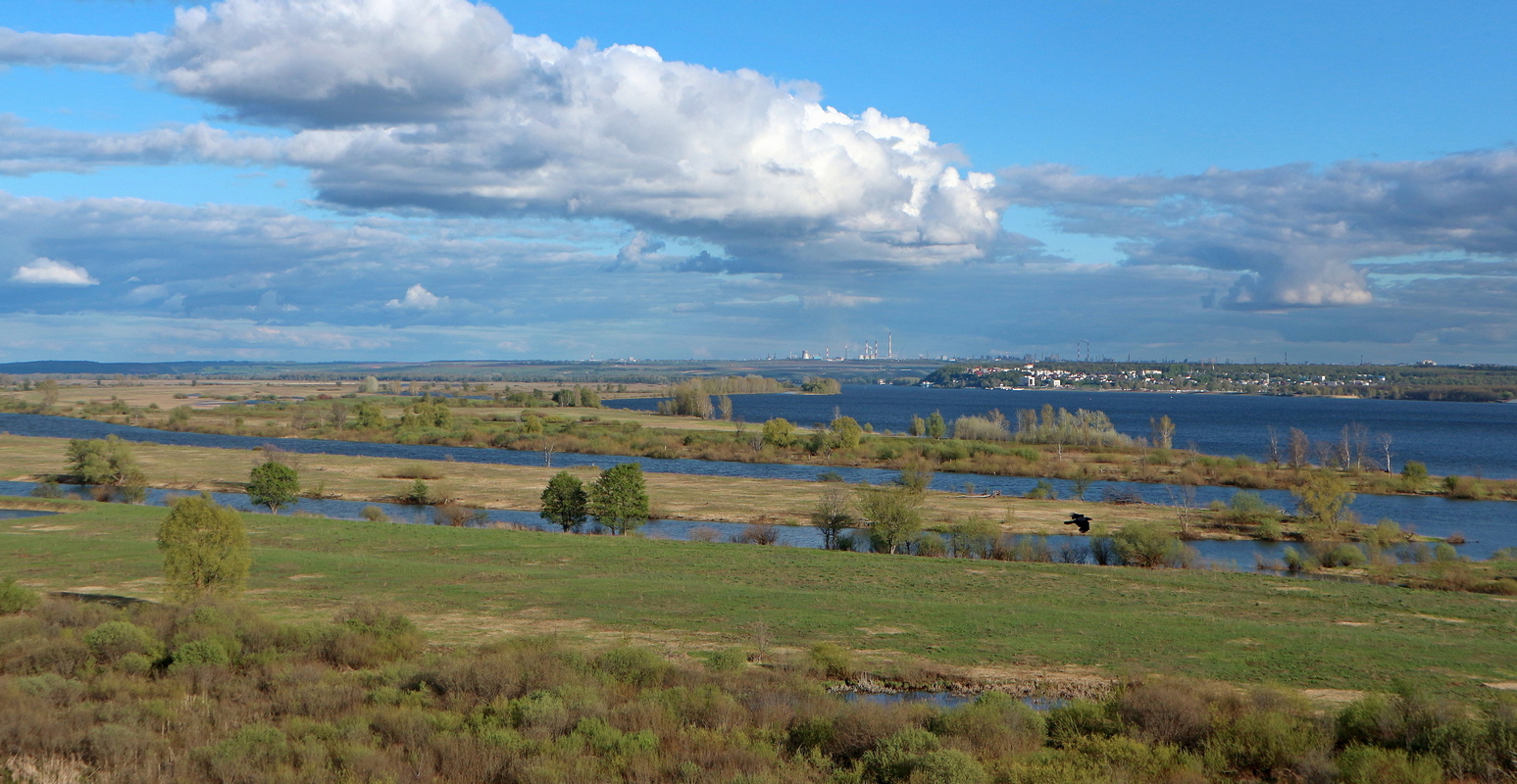 Танаевские луга, image of landscape/habitat.