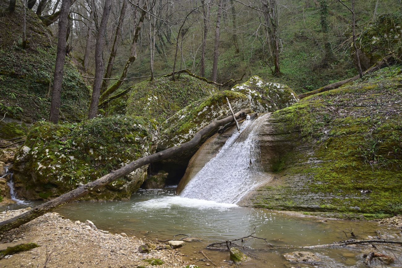 Долина реки Мишоко, image of landscape/habitat.
