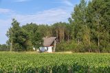 Бобинка и окрестности, image of landscape/habitat.
