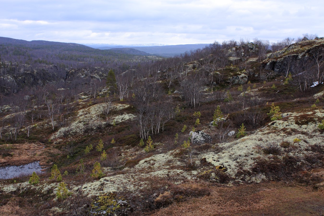 Могильный Ров, image of landscape/habitat.
