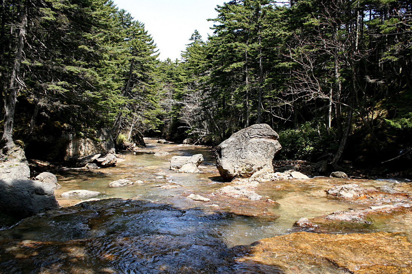 Окрестности Южно-Курильска, image of landscape/habitat.