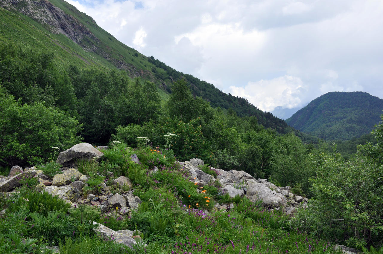 Долина реки Танадон, image of landscape/habitat.