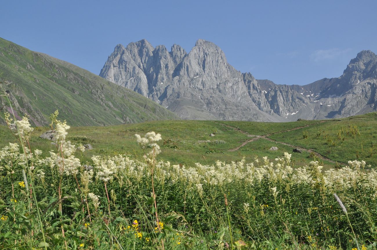 Долина ручья Чаухицхали, image of landscape/habitat.