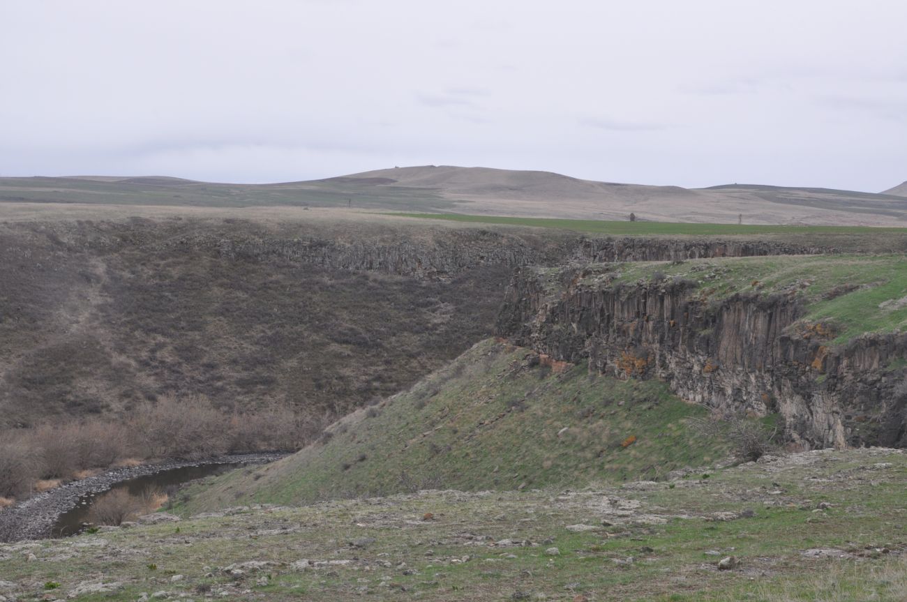 Окрестности храма Тайлар, image of landscape/habitat.