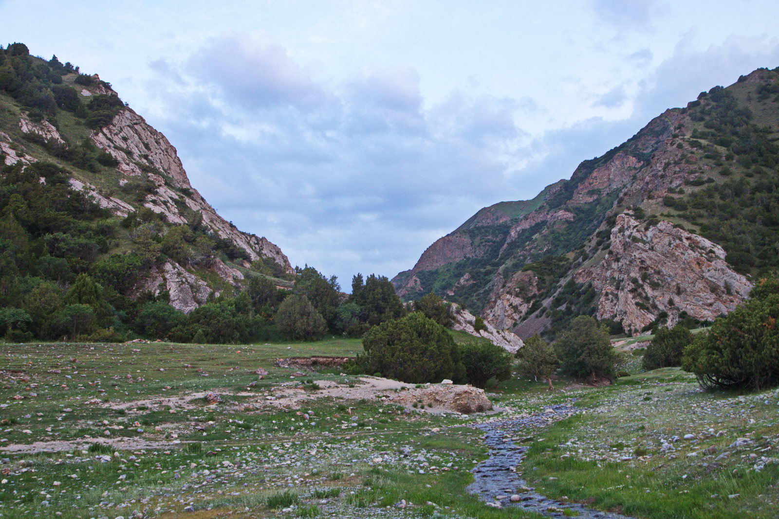 Урочище Арчаты, image of landscape/habitat.