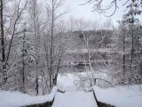 Лесопарк Пышки, image of landscape/habitat.
