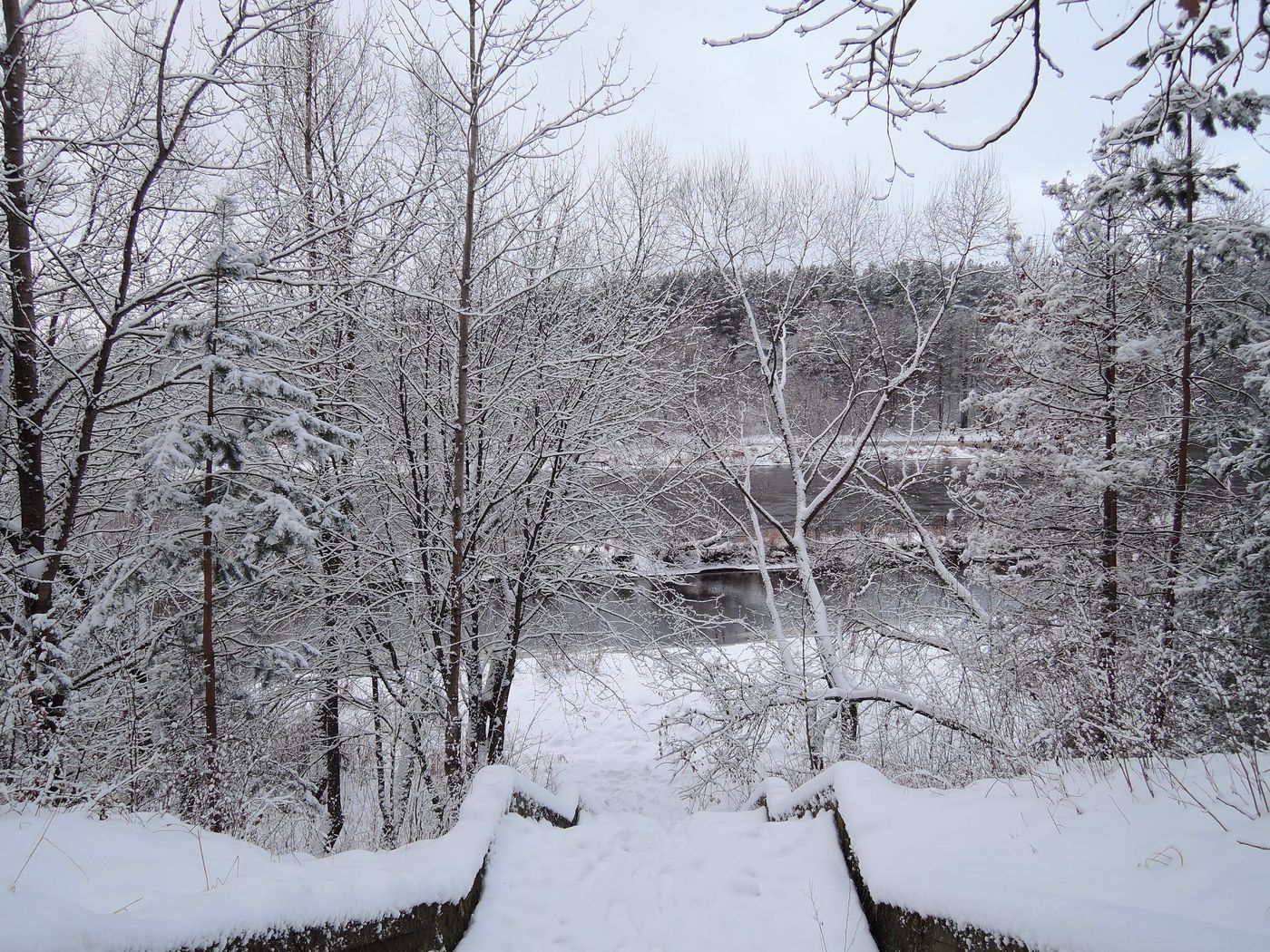 Лесопарк Пышки, image of landscape/habitat.