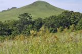 Полуостров Краббе, image of landscape/habitat.