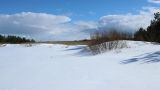 Большая Ижора, image of landscape/habitat.