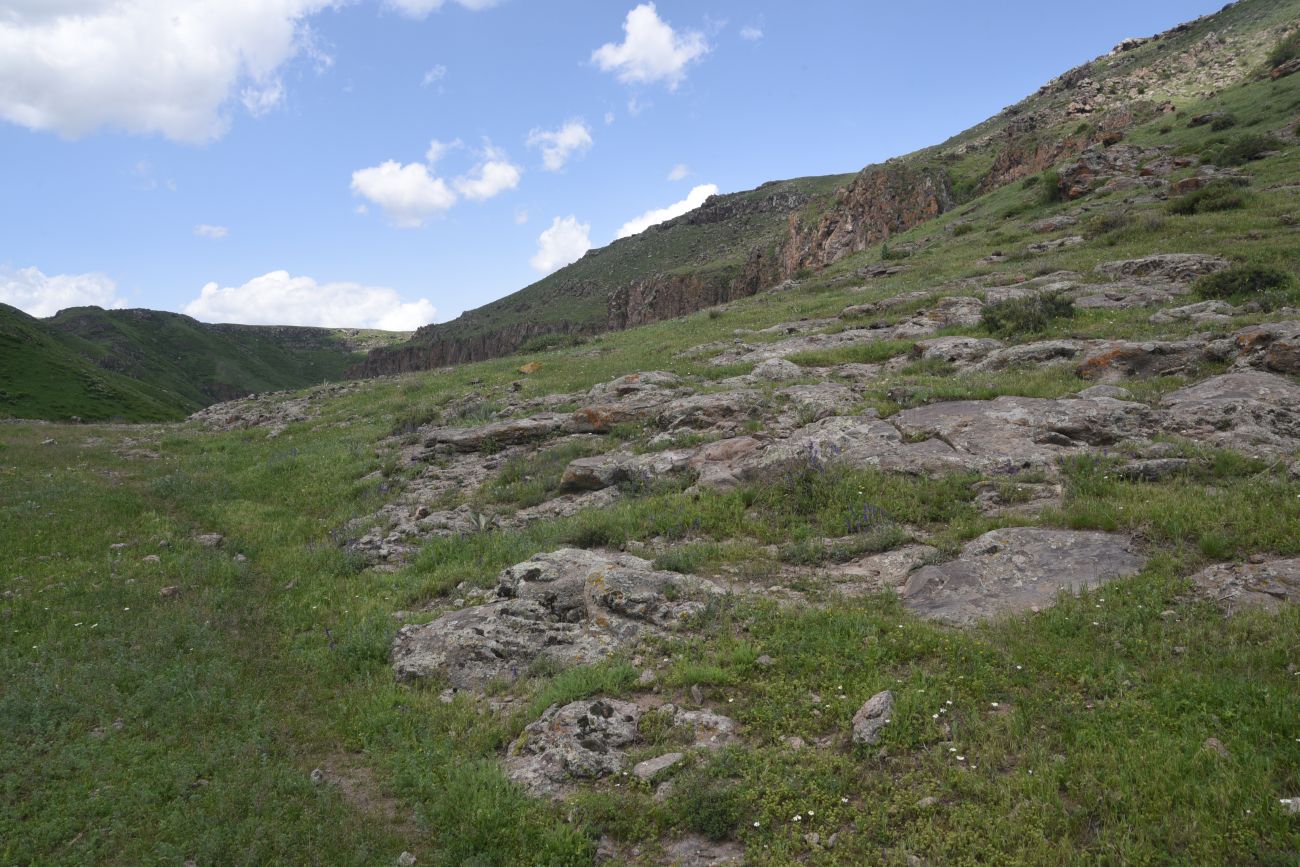 Окрестности монастыря Хцконк, image of landscape/habitat.