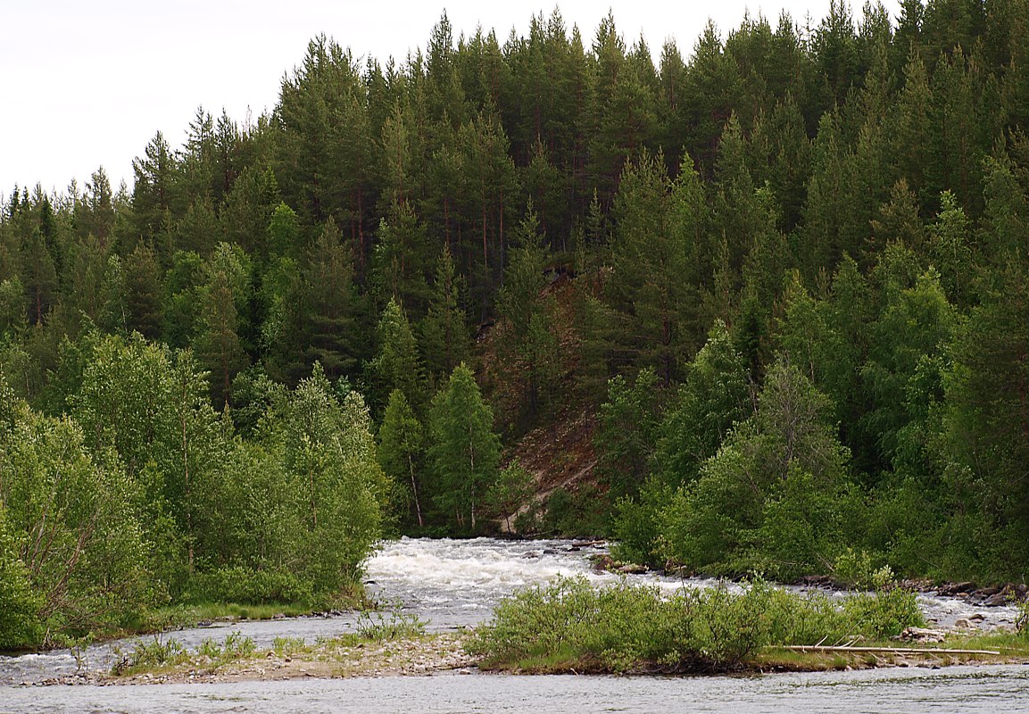 Колвица, image of landscape/habitat.