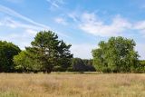 Image of landscape