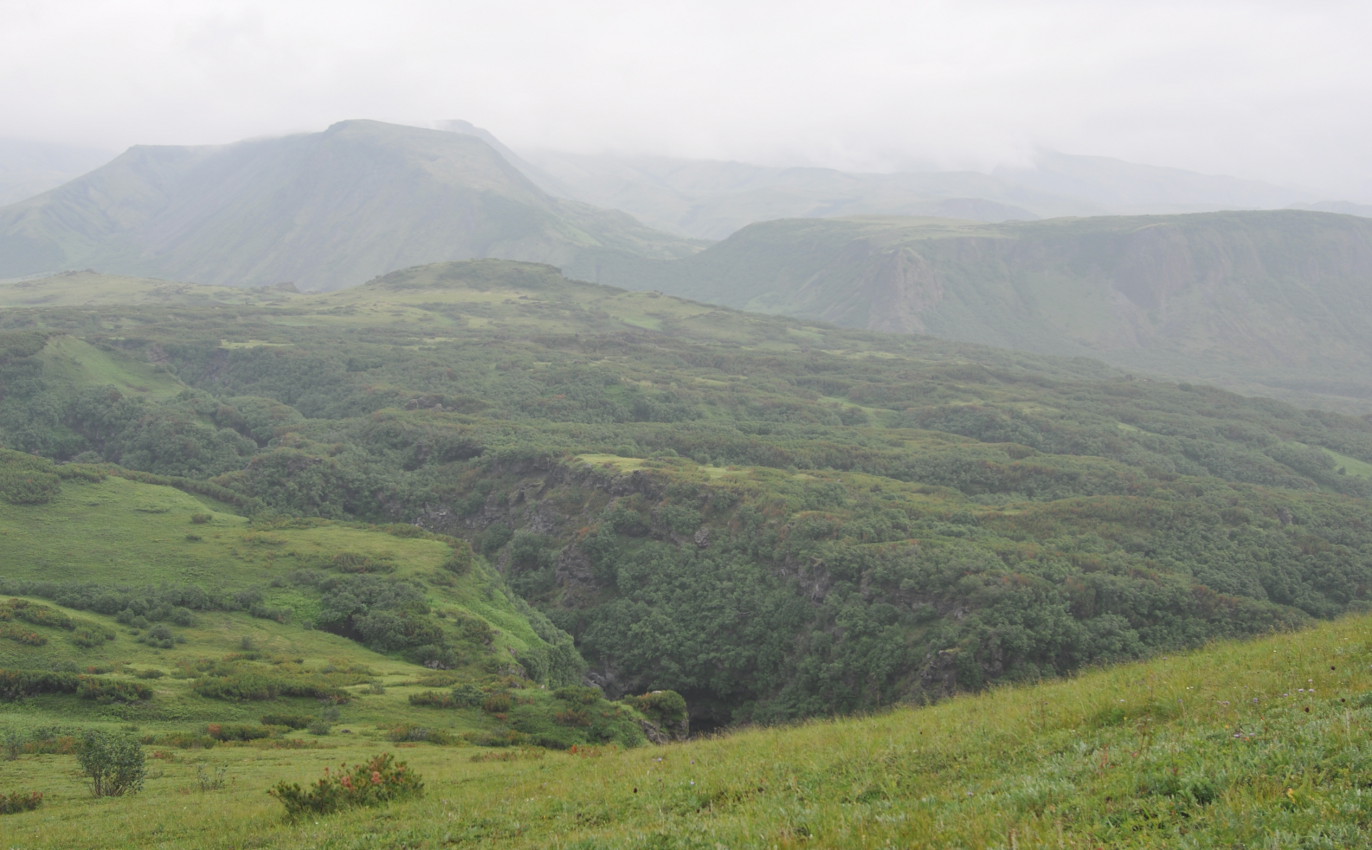 Верховья реки Студеная, image of landscape/habitat.