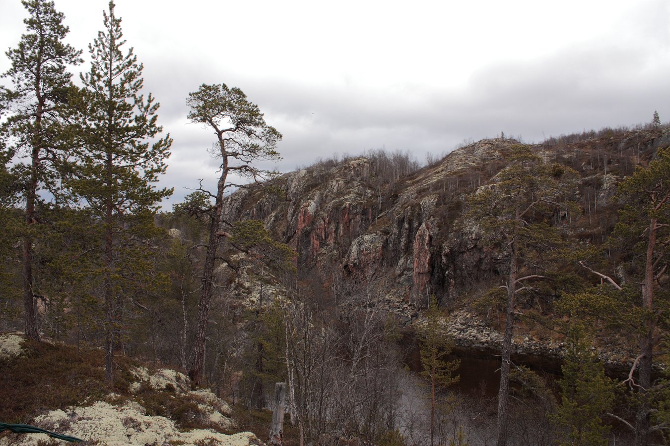 Могильный Ров, image of landscape/habitat.