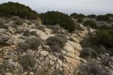 Image of landscape
