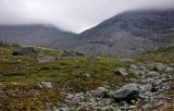 Image of landscape