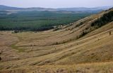 Хребет Нурали, image of landscape/habitat.