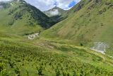 Долина реки Сардидон, image of landscape/habitat.