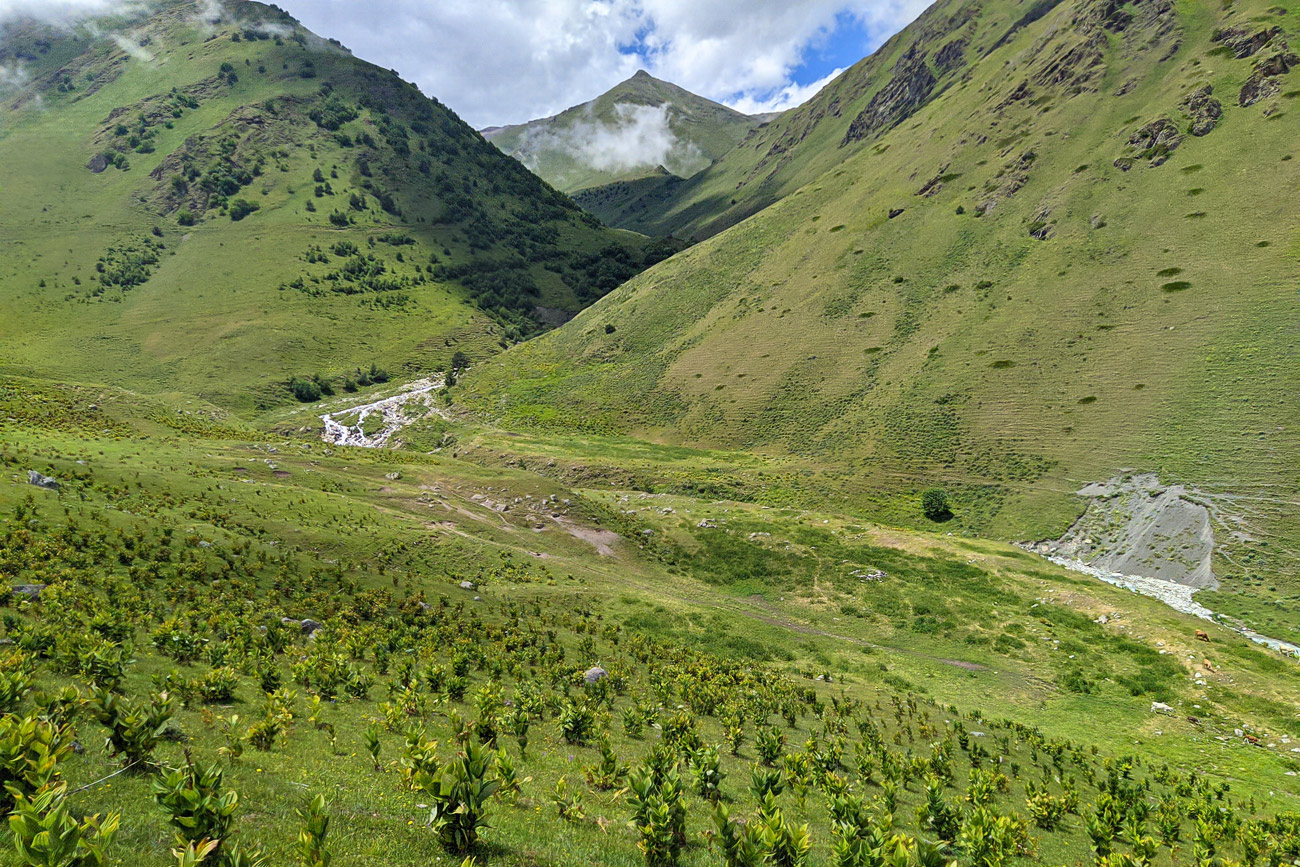 Долина реки Сардидон, image of landscape/habitat.