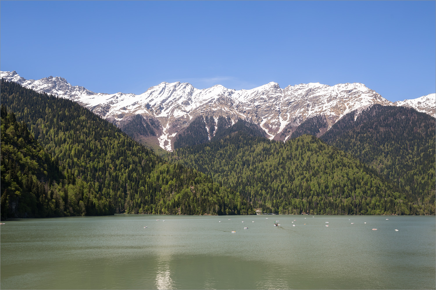 Рица, image of landscape/habitat.