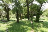Image of landscape