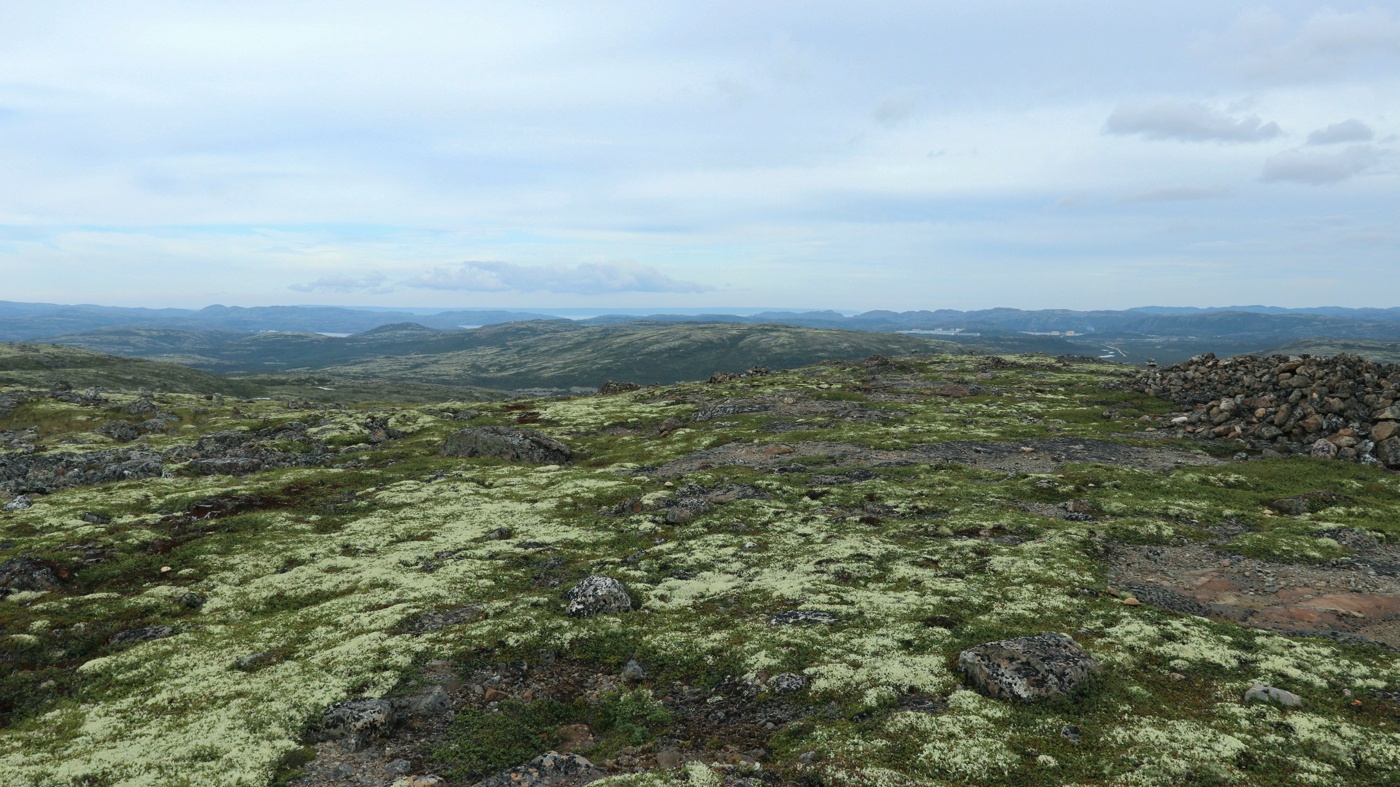 Высота 314.9, image of landscape/habitat.