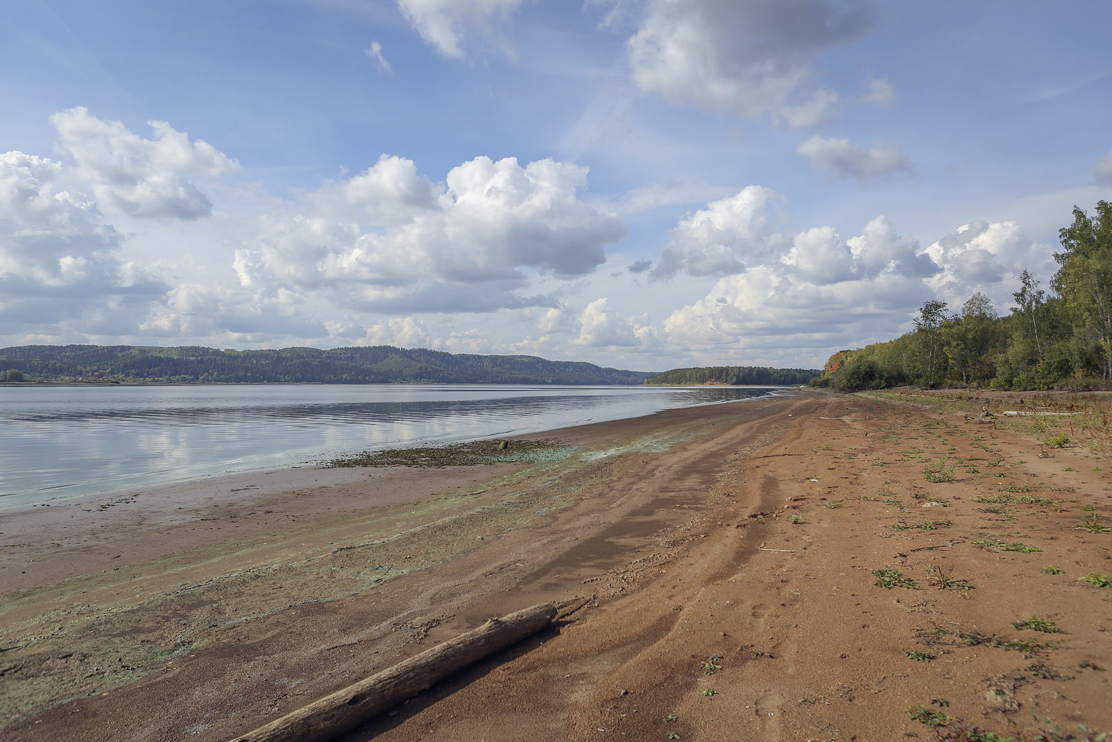 Кунчурихинский бор, image of landscape/habitat.