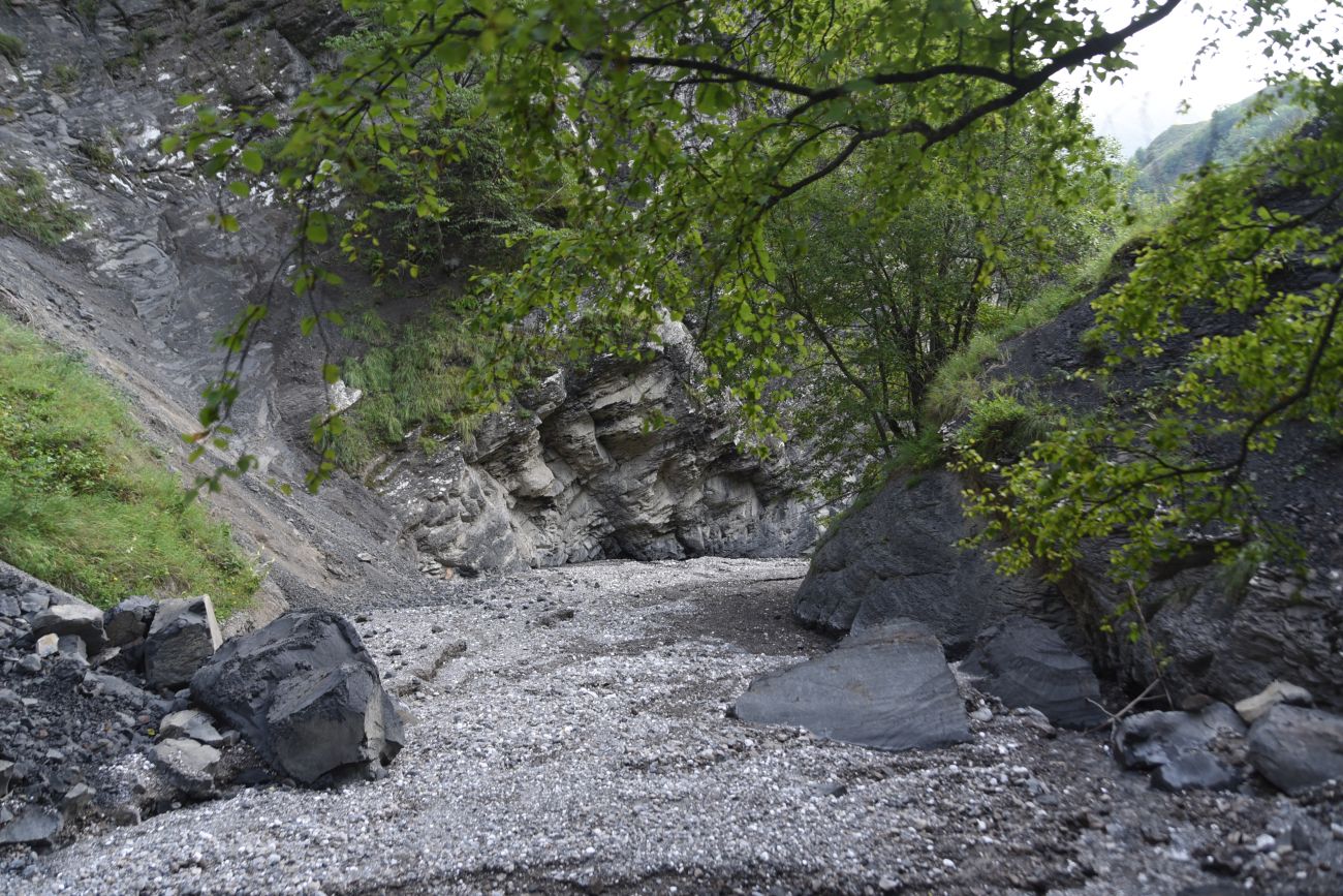 Левый приток реки Цесиахк, image of landscape/habitat.