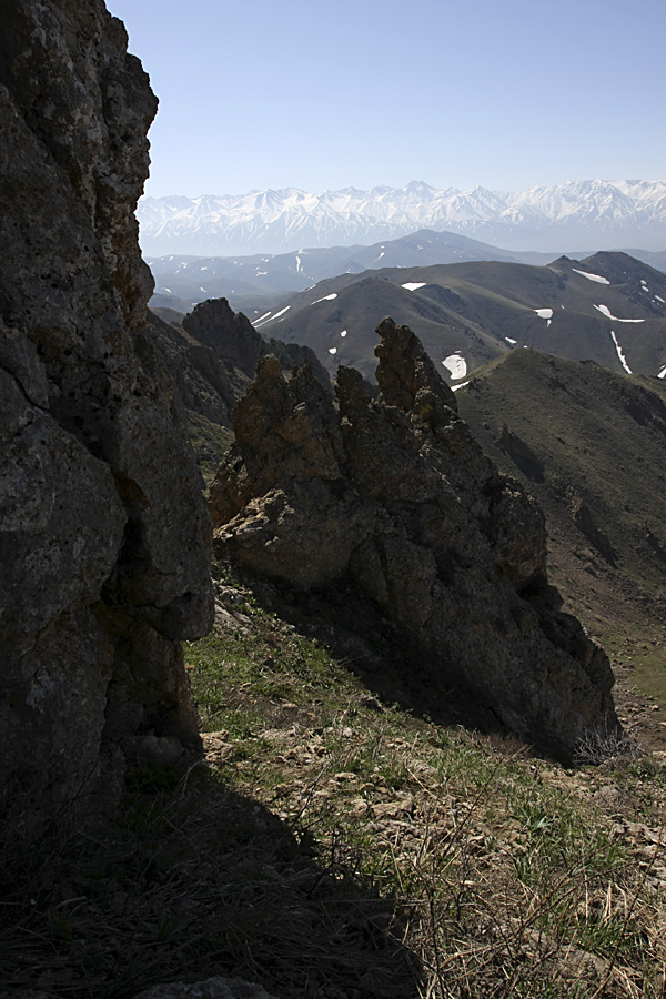 Горы Сартур, image of landscape/habitat.