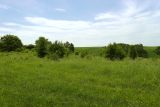 Image of landscape