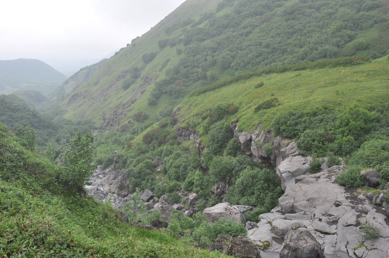 Верховья реки Студеная, image of landscape/habitat.