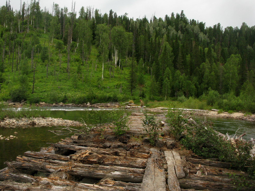 Сибирячка, image of landscape/habitat.