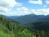 Полка, image of landscape/habitat.