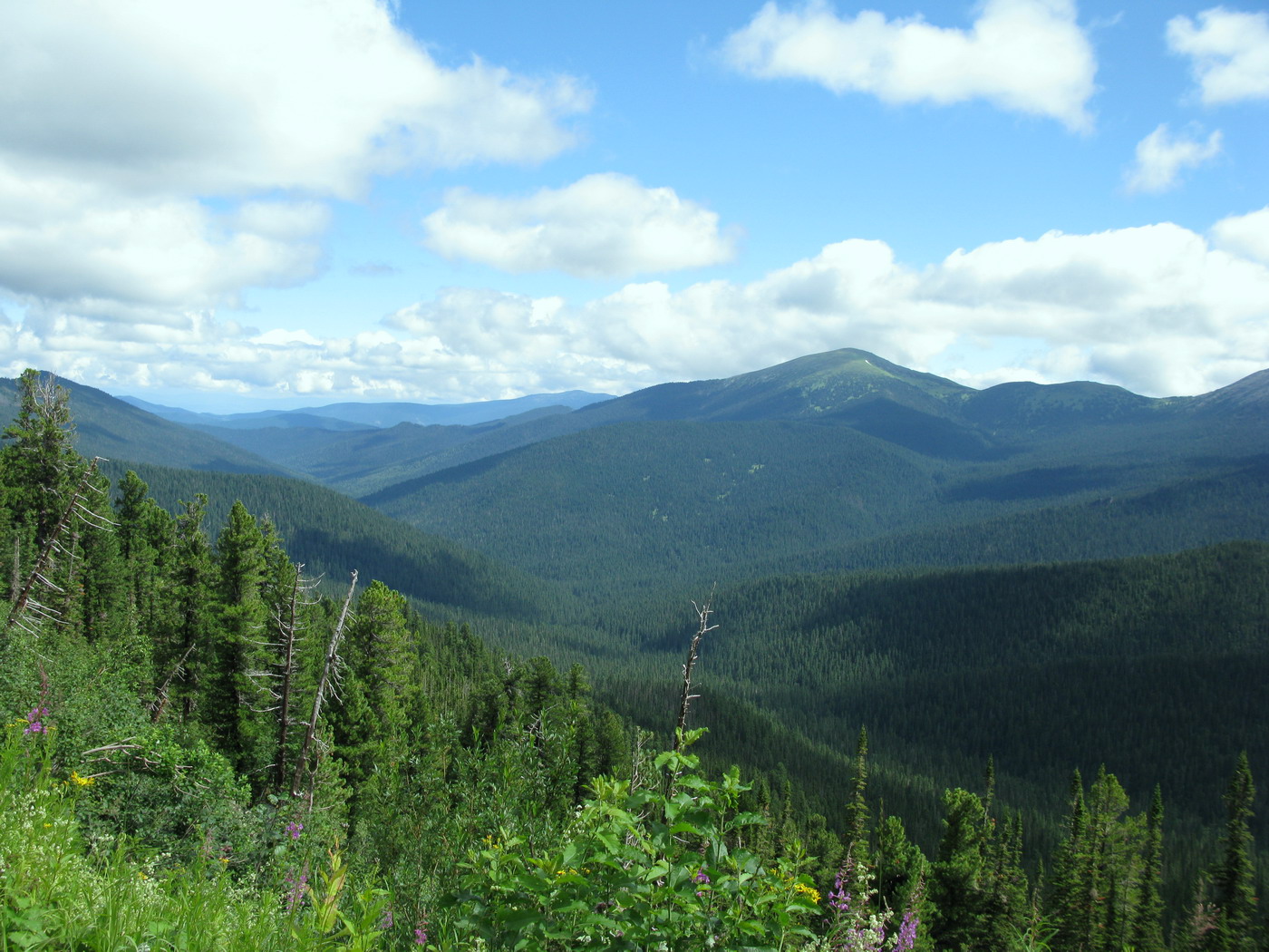 Полка, image of landscape/habitat.