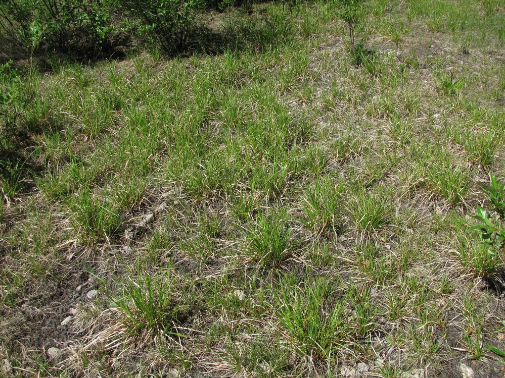 Долина реки Вель, image of landscape/habitat.