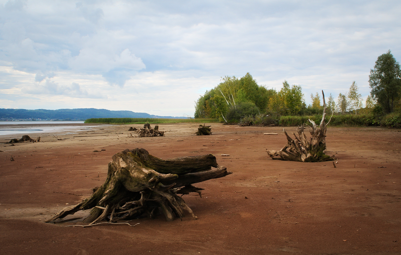 Кунчурихинский бор, image of landscape/habitat.