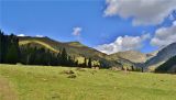 Авадхара (Ауадхара), image of landscape/habitat.