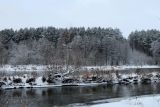 Лесопарк Пышки, изображение ландшафта.