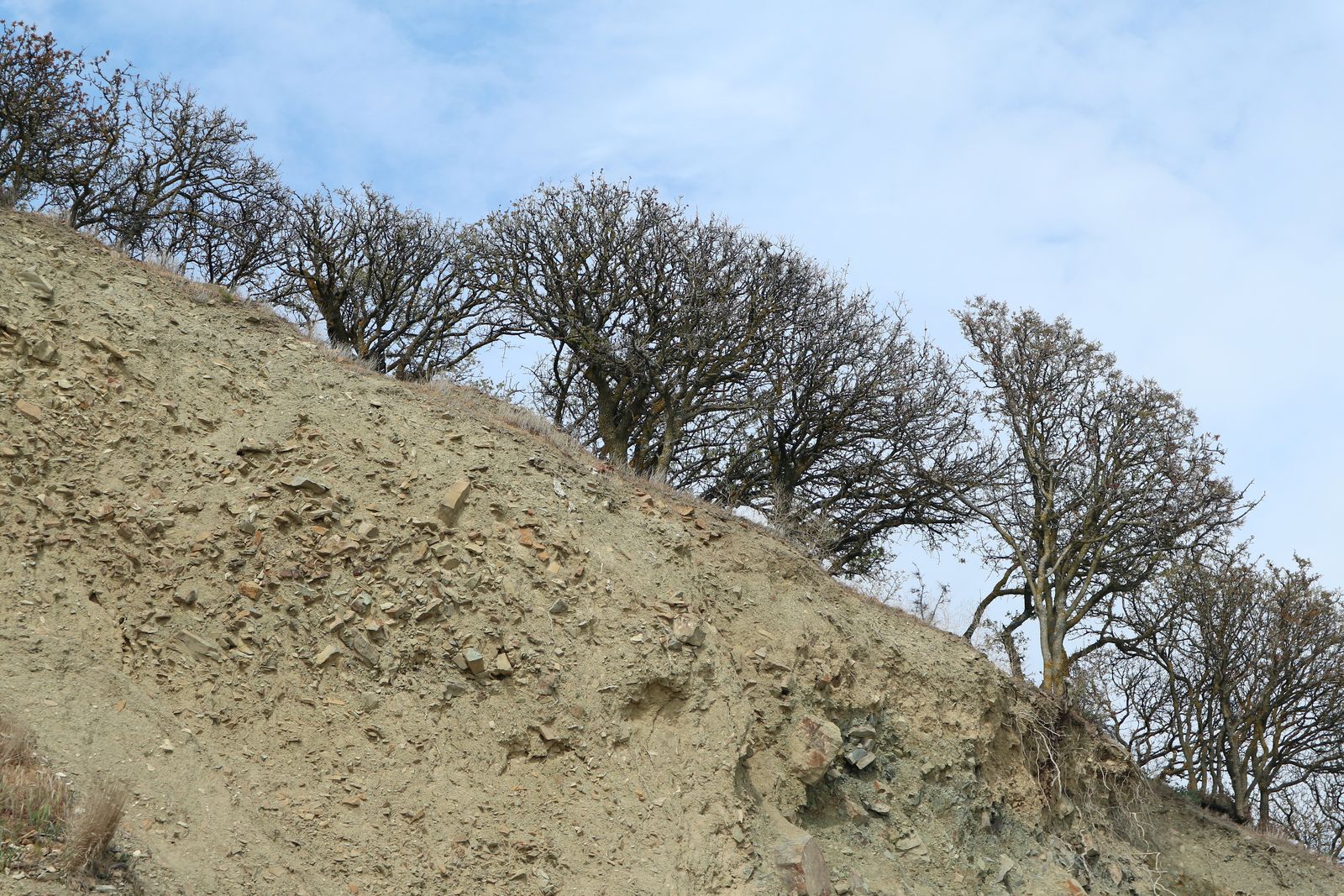 Малый Утриш, image of landscape/habitat.