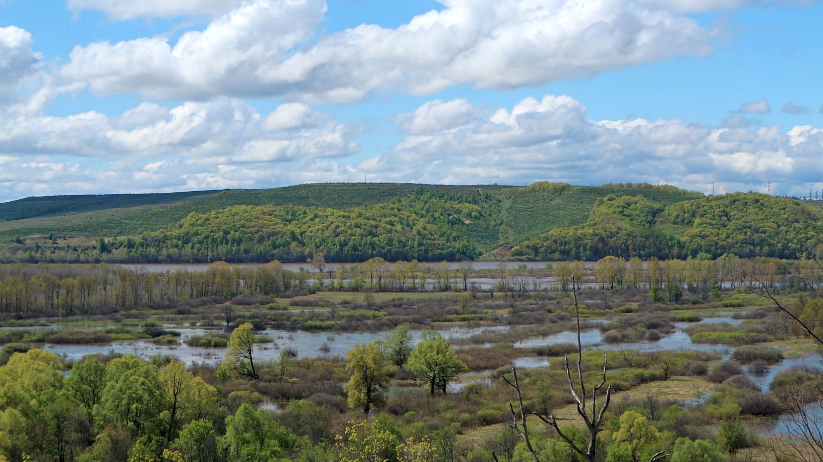 Пойма Вятки у Мамыловки, image of landscape/habitat.