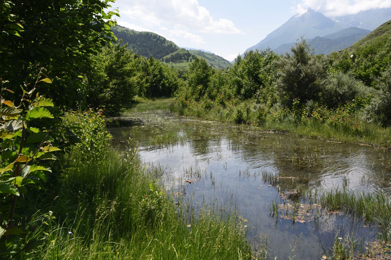 Окрестности урочища Таргим, image of landscape/habitat.