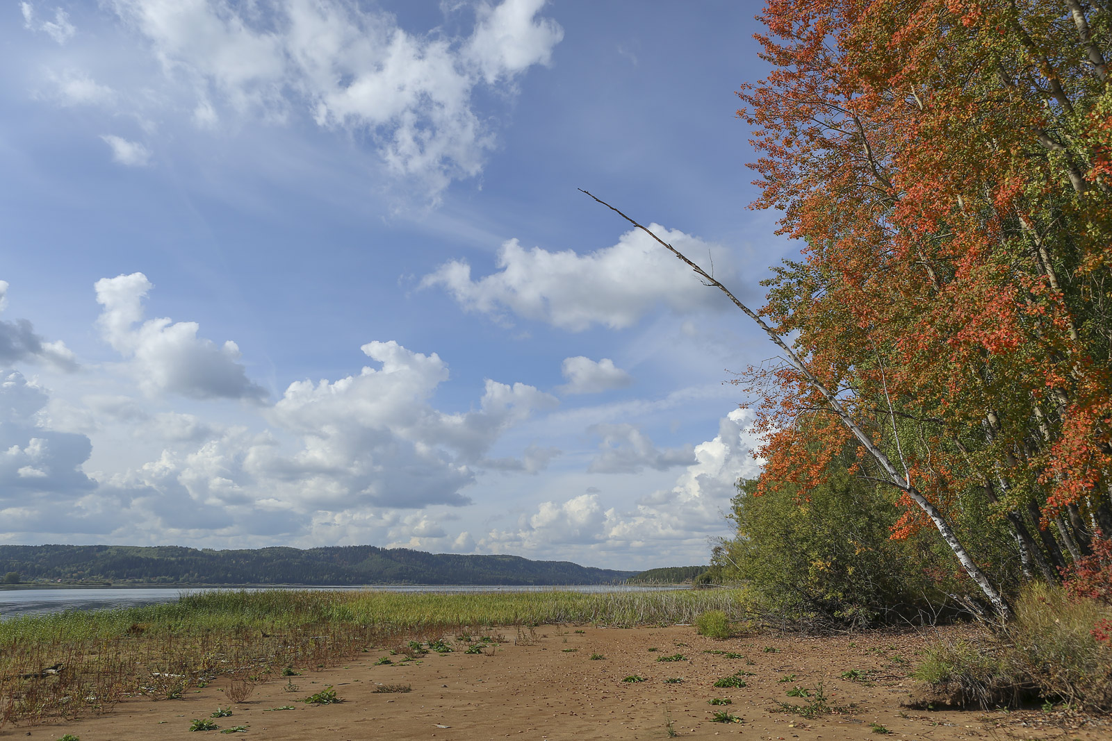 Кунчурихинский бор, image of landscape/habitat.