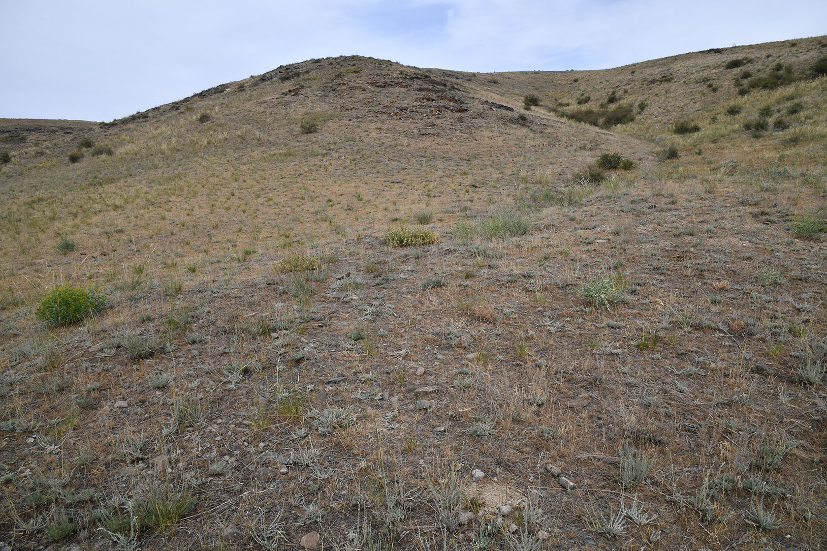 Тамгалы (Танбалы), изображение ландшафта.